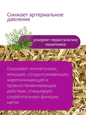 Пастушья сумка