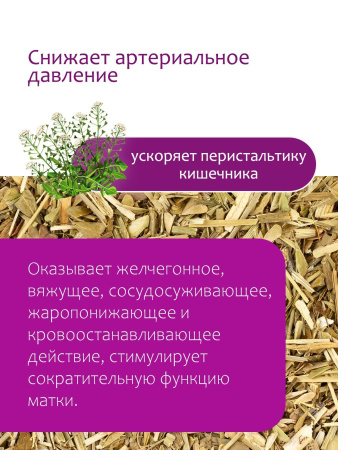 Пастушья сумка