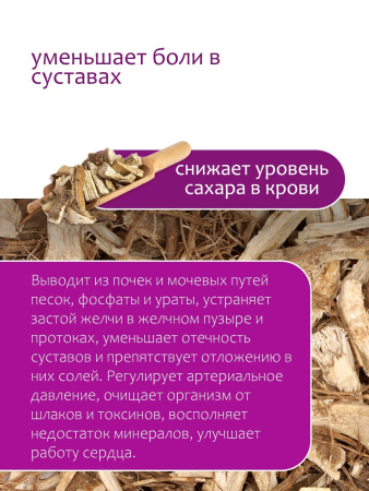 Корень подсолнуха