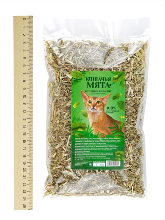 Кошачья мята (котовник кошачий)