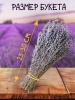Букет лаванды крымской "Синева"