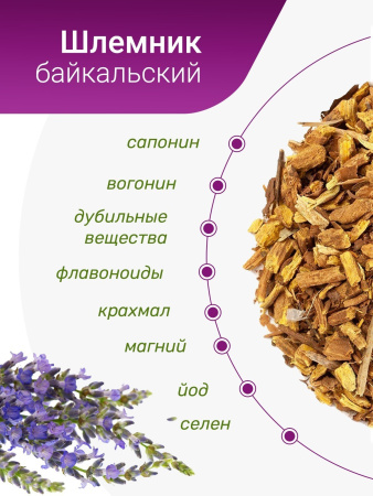 Шлемник байкальский