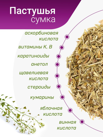 Пастушья сумка