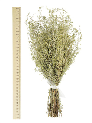 Букет полыни