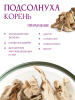 Корень подсолнуха