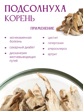 Корень подсолнуха