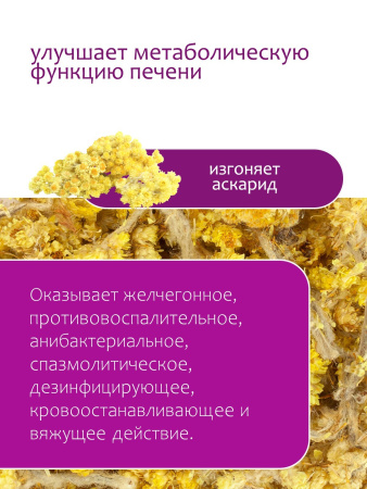 Бессмертник