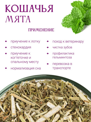 Кошачья мята (котовник кошачий)