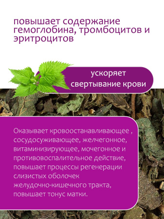 Крапива