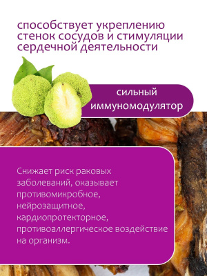 Маклюра (Адамово яблоко)