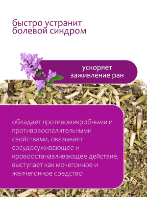 Зопник клубненосный