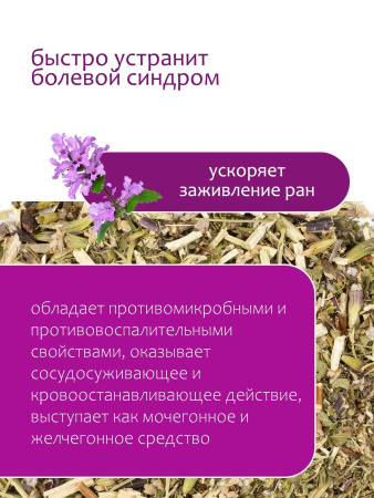 Зопник клубненосный