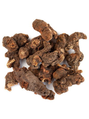 Калган (корень)