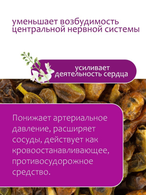 Софора (плоды)