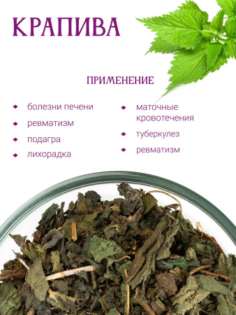 Крапива