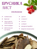 Брусника лист