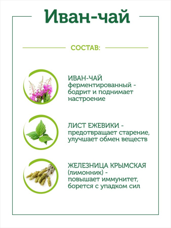 Иван-чай в пирамидках. Наш чай