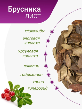 Брусника лист