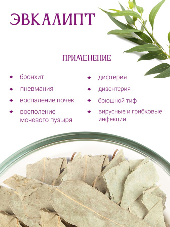 Эвкалипт