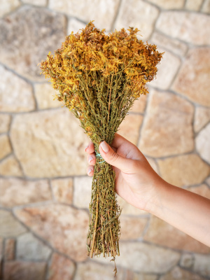 Букет зверобоя