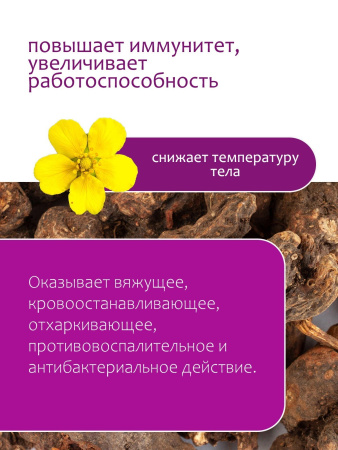 Калган (корень)