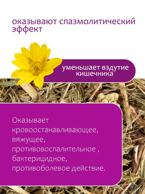 Тысячелистник