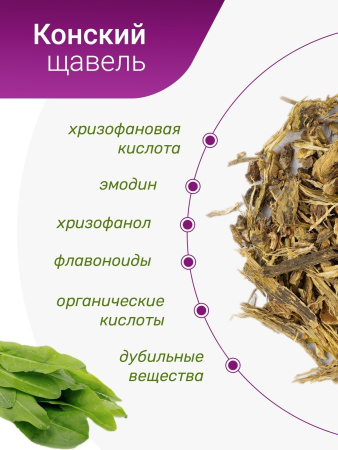 Конский щавель