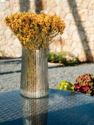 Букет зверобоя