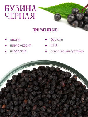 Бузина черная плоды