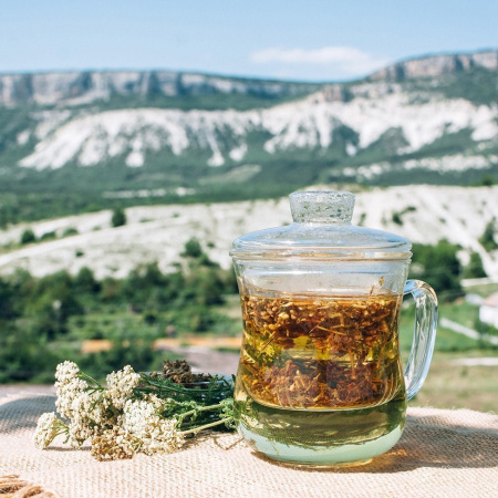 Тысячелистник