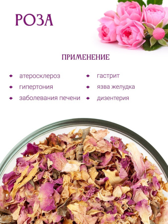 Роза