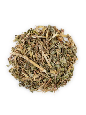 Горец перечный (водяной перец)