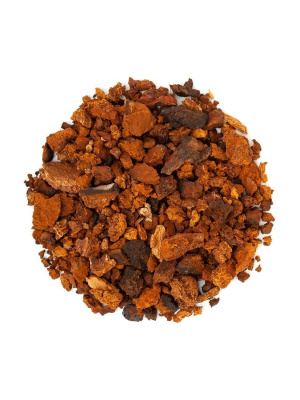 Чага берёзовая