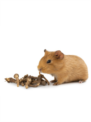 Корни одуванчика для грызунов, 50 гр