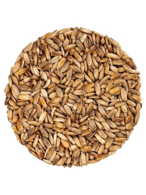 Расторопша