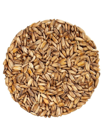 Расторопша