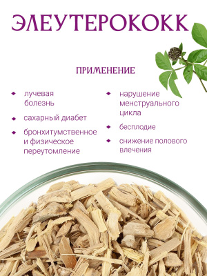 Элеутерококк