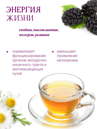 Энергия жизни (желудочный)