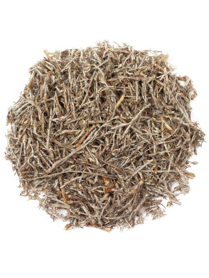 Полынь горькая