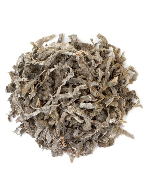 Ламинарии слоевища