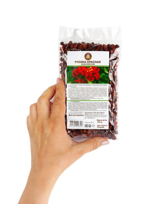 Рябина красная