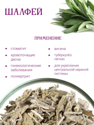 Шалфей в пирамидках