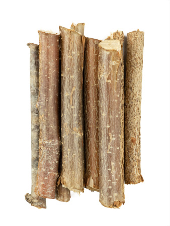 Ветви лещины для грызунов