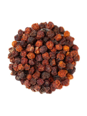 Рябина красная