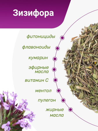 Зизифора пахучковидная