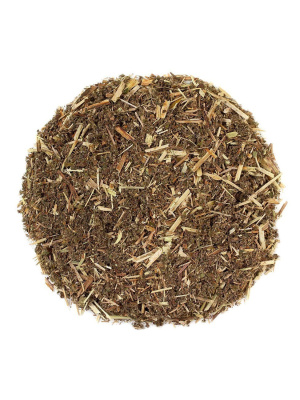 Лабазник (таволга)