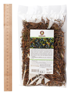 Шикша (побеги)