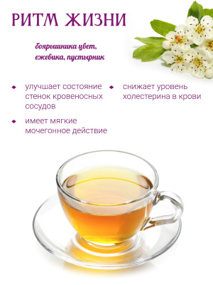 Ритм жизни  Ритм жизни