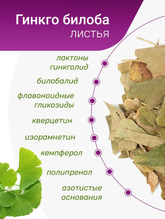 Гинкго билоба