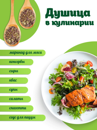 Душица
